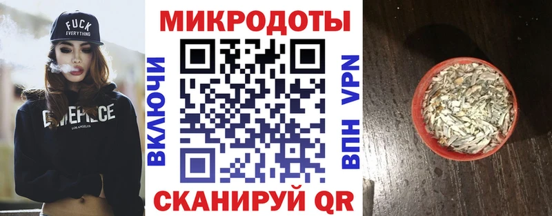 Купить где  Губкинский  Галлюциногенные грибы прущие грибы 
